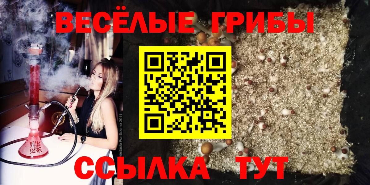 Галлюциногенные грибы Cubensis Владимир